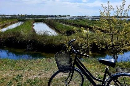 Lio Piccolo and Treporti : Birdwatching and Heritage - app.name