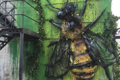 Lisbon Street Art Tuk Tuk Tour - app.name