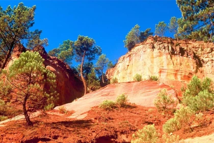 LOCATION 5 JOURS - app.name