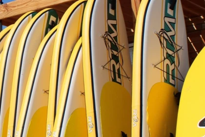 Stand Up Paddle Rental - Bonjour Fun