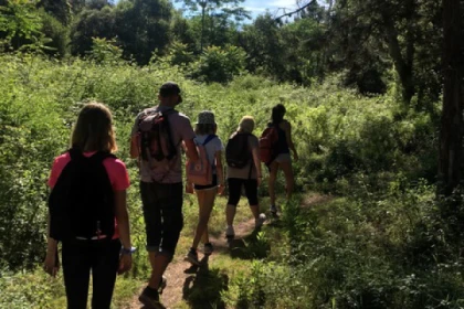 Marche Afghane - app.name