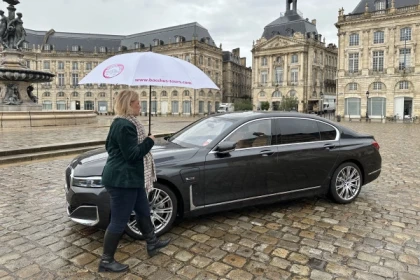 Vehicle and chauffeur at your service (6/8 hrs - Night) - Bonjour Fun