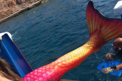 Nager comme une sirène - app.name