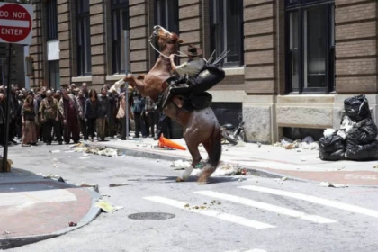 Niort : Escape Game Outdoor The Walking Dead - app.name