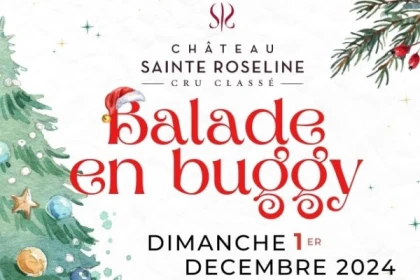 Noël au château : balade en buggy - app.name