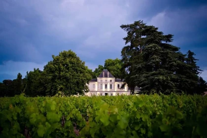 Nouveau au départ du château Haut Nouchet, offrez-vous une balade en trottinette  dans les vignobles, suivie d'une dégustation de 5 vins (2h00), avec options dégustation gourmande possible - app.name
