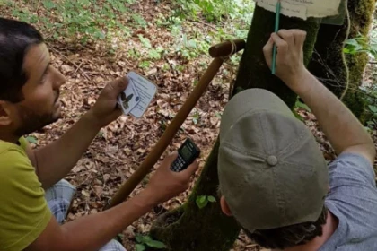 Offre JEUNESSE - Chasse au trésor - app.name