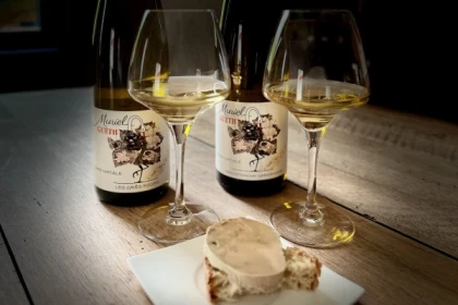 Dare to explore Foie Gras & organic Alsace wine pairings - Bonjour Fun