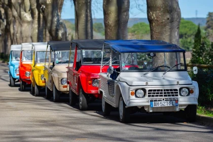 Pack cortège mariage - app.name