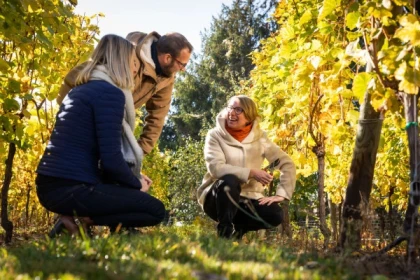 Parenthèse Vigneronne 'Grands Crus wines and cheeses' - tasting - Bonjour Fun