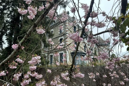 Pau, Ville Anglaise ? et  le Jardin Kofu - app.name