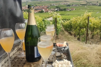 Pique-nique Dégustation dans le vignoble de champagne - app.name