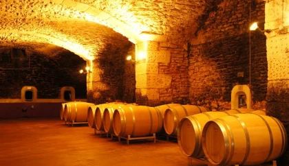 Pique-nique du Vigneron Indépendant - app.name