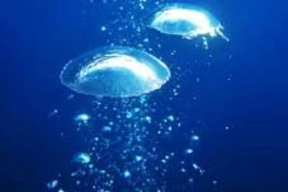 Plongée relaxation et gestion du stress - Fréjus VAR - app.name