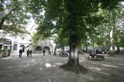 PORTRAITS D’ARCHITECTES : Claude-Antoine Colombot (1747-1821) - app.name