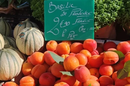 Provençal Market Tour & Local Terroir Experience in Aix-en-Provence - Bonjour Fun