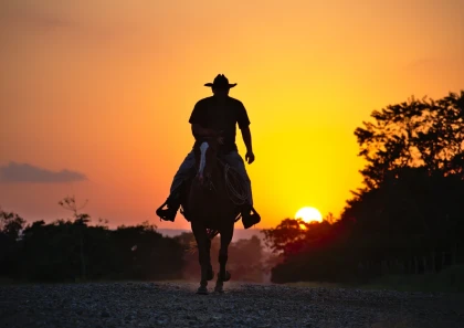 Rando Apéro - app.name