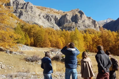 Randonnée à thème : L'Homme et le Loup - app.name