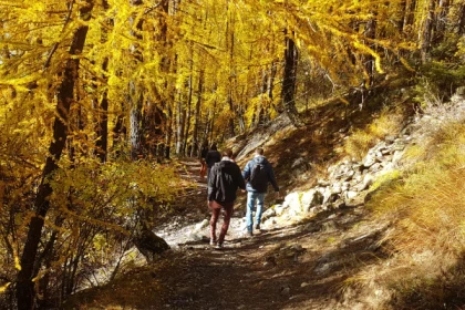 Randonnée à thème : L'Homme et le Loup - app.name