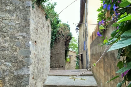 Randonnée découverte et plantes comestibles - Pays de Fayence - app.name