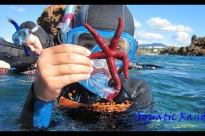 Palmed hiking - Fréjus - Bonjour Fun