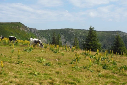 Randonnée sur les Gazons Vosgiens - app.name