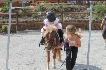 Initiation session - baby pony - Bonjour Fun