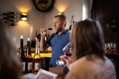 Meet our wines with an in-depth tasting. - Bonjour Fun
