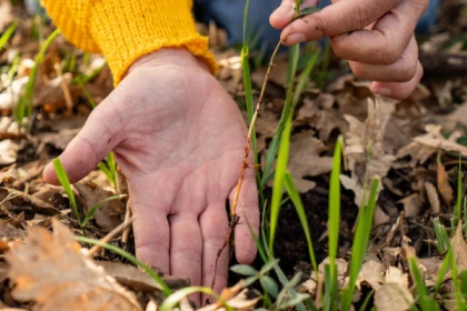 Sortie insolite Art et Nature : Arc-en-ciel du maquis ! - app.name
