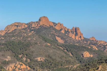 Sortie Mont Vinaigre avec un partenaire ONF - app.name