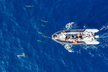 Saint Raphael --> Dolphins - Bonjour Fun