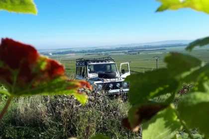 Survol du vignoble balade et dégustations / ½ journée. - app.name