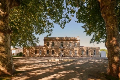 Tasting of 6 Wines - Bonjour Fun