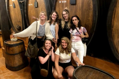 The wines of Alsace in a  private group tour from Colmar - app.name