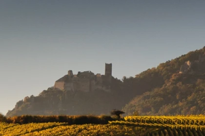 Alsace vineyards and wine tasting - Bonjour Fun