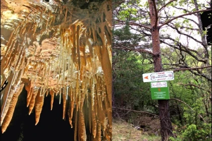 Visit and treasure hunts in the cave and in the forest - app.name