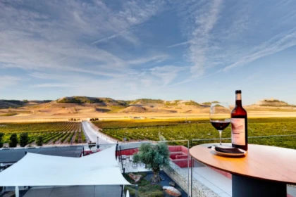 Private Ribera del Duero Tour with 2 Spectacular Wineries - app.name