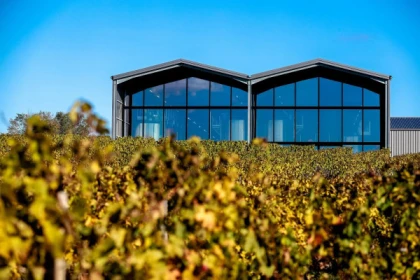 Visite Accords Vins et Fromages au Château Lauduc - app.name