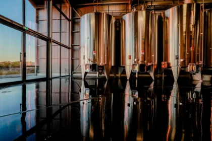 Wine and cheese tasting at Château Lauduc - Bonjour Fun