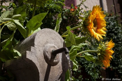 Visite commentée du village de Montauroux - app.name