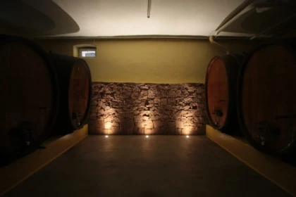 Visite de cave & dégustation - Formule Gourmande - app.name