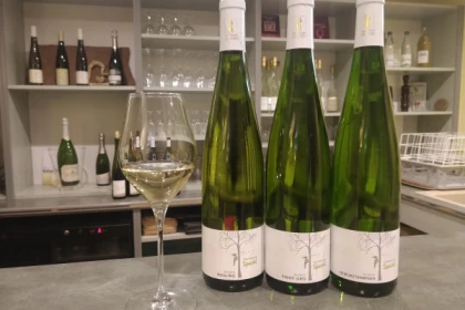 Traditional visit & wine tasting - 5 grape varieties - Bonjour Fun