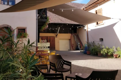 Traditional visit & wine tasting - 5 grape varieties - Bonjour Fun