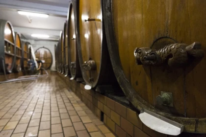 Visite de cave mystique et dégustation approfondie (6 pers. max) - app.name