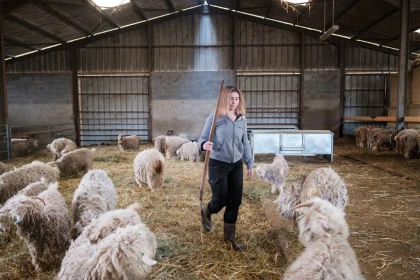 Visite de groupe demi journée 10h - 12 h - app.name