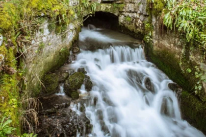 VISITE DE L’AQUEDUC D’ARCIER - app.name