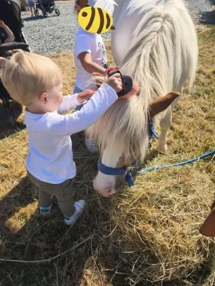 Visite de la Ferme - app.name