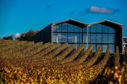 Visite de la Terre au Verre - app.name