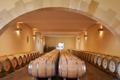 Visite découverte du Château Haut Breton Larigaudière - app.name