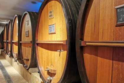 Visite Découverte - app.name